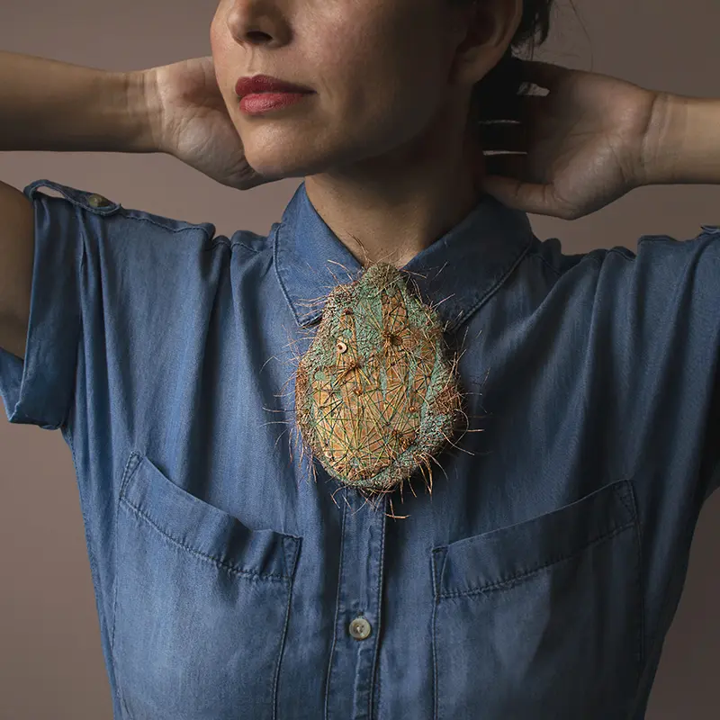 hero_seres_del_desierto